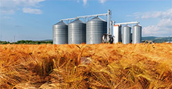 MVE-SS食品行業(yè)專用不銹鋼振動電機(jī)